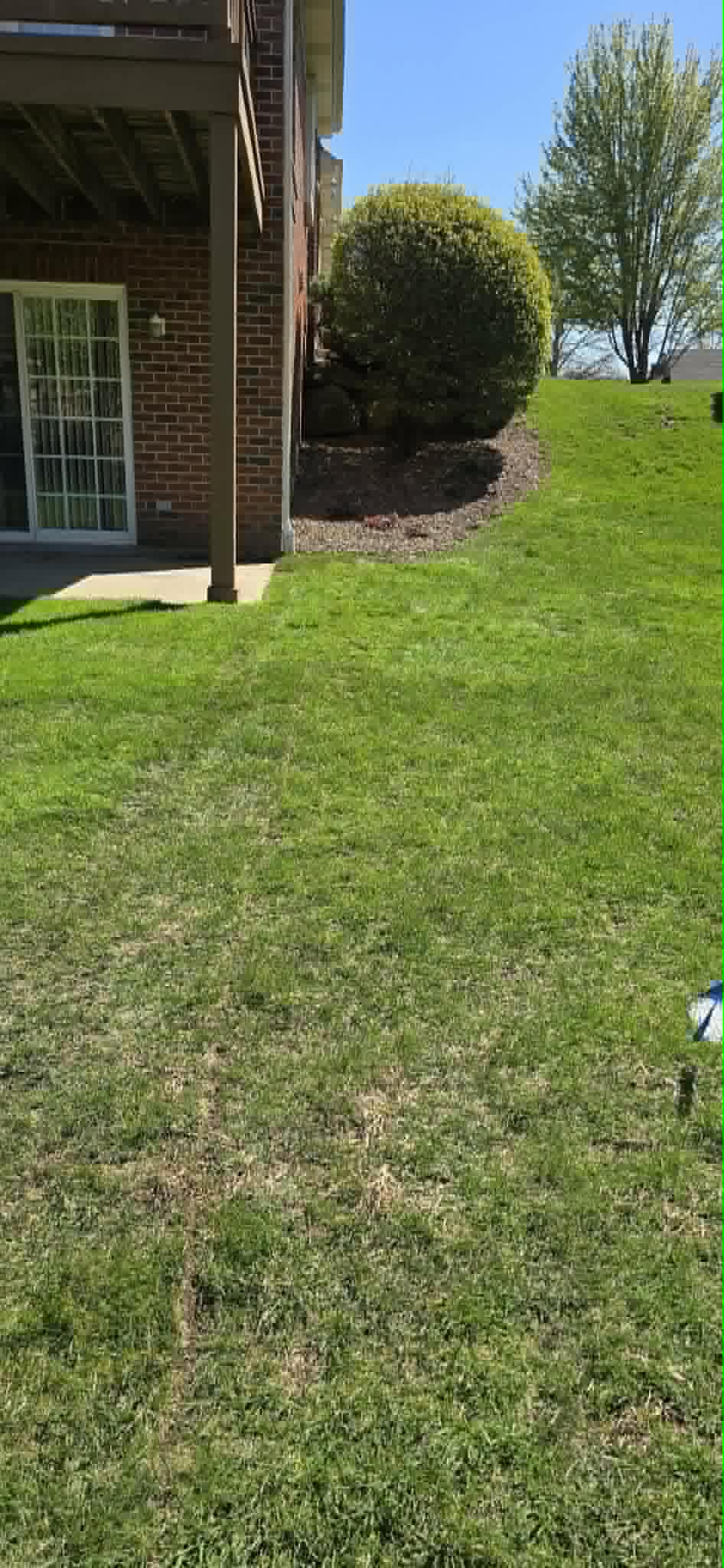 Clean mowed lawn